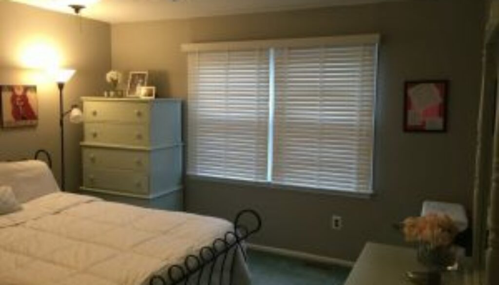 blinds to keep heat out
