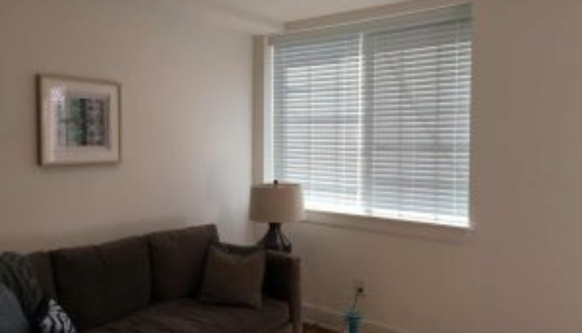 blinds and shutters Pioneer TN