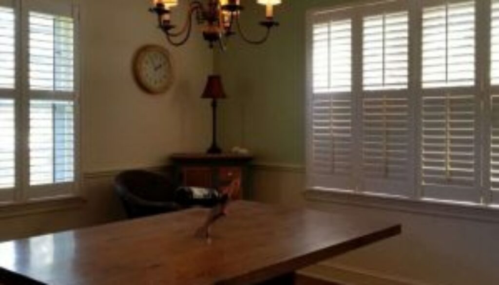 blinds and shutters Maryville TN
