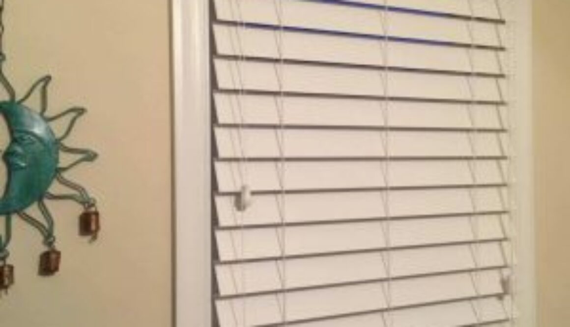 blinds for front doors