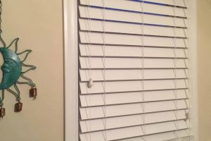 blinds for front doors 